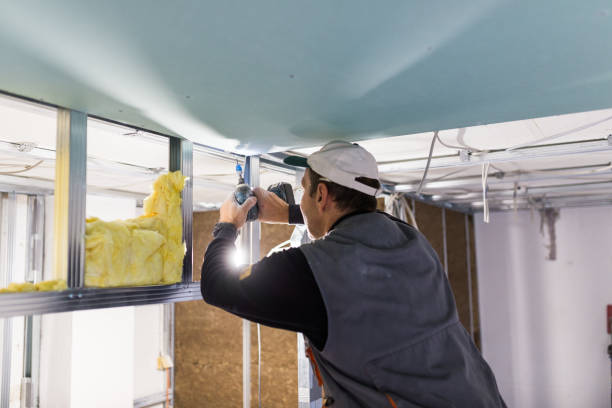 Best Commercial Insulation in Masonville, KY